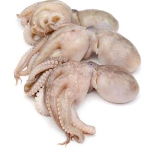 frozen octopus