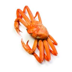 king crab