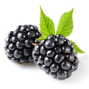 blackberry