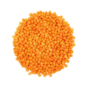 lentils beans