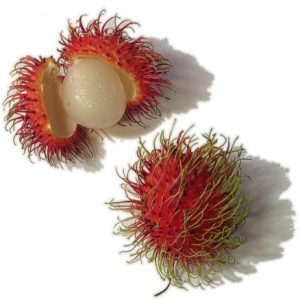 rambutan