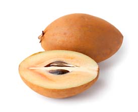 sapodilla