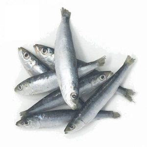 sardines