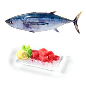 tuna